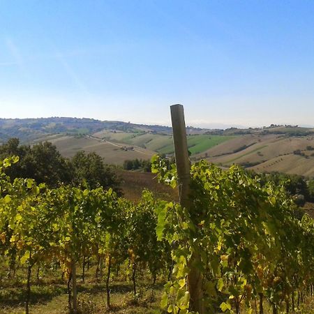 Agriturismo Le Vigne Fermo Zewnętrze zdjęcie